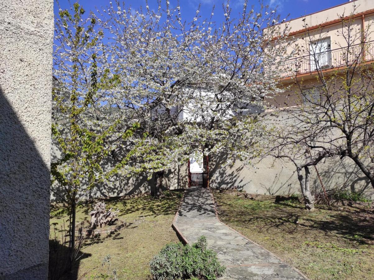 Bed and Breakfast Antica Dimora Palazzo Rovitti Cerchiara di Calabria Exteriér fotografie