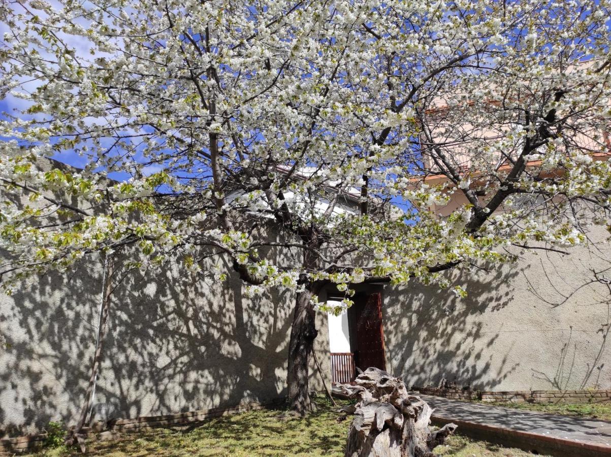 Bed and Breakfast Antica Dimora Palazzo Rovitti Cerchiara di Calabria Exteriér fotografie